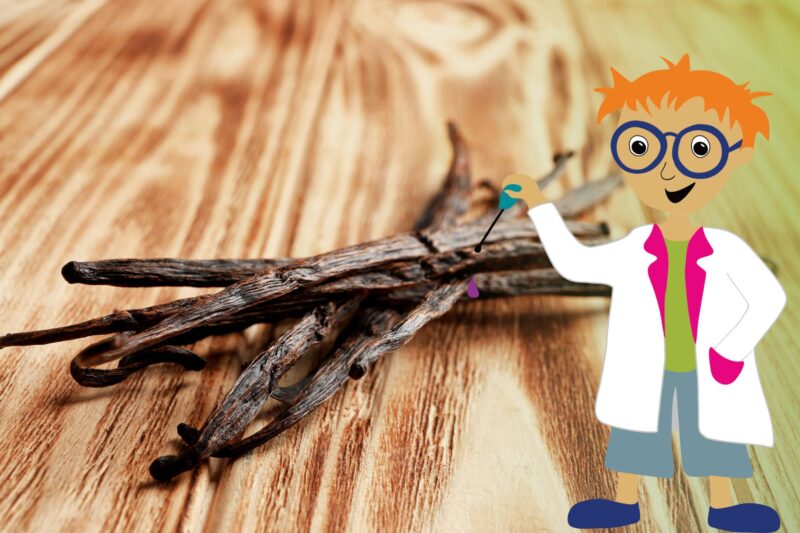 Welt Vanille Tag_Dufte Kids Workshop