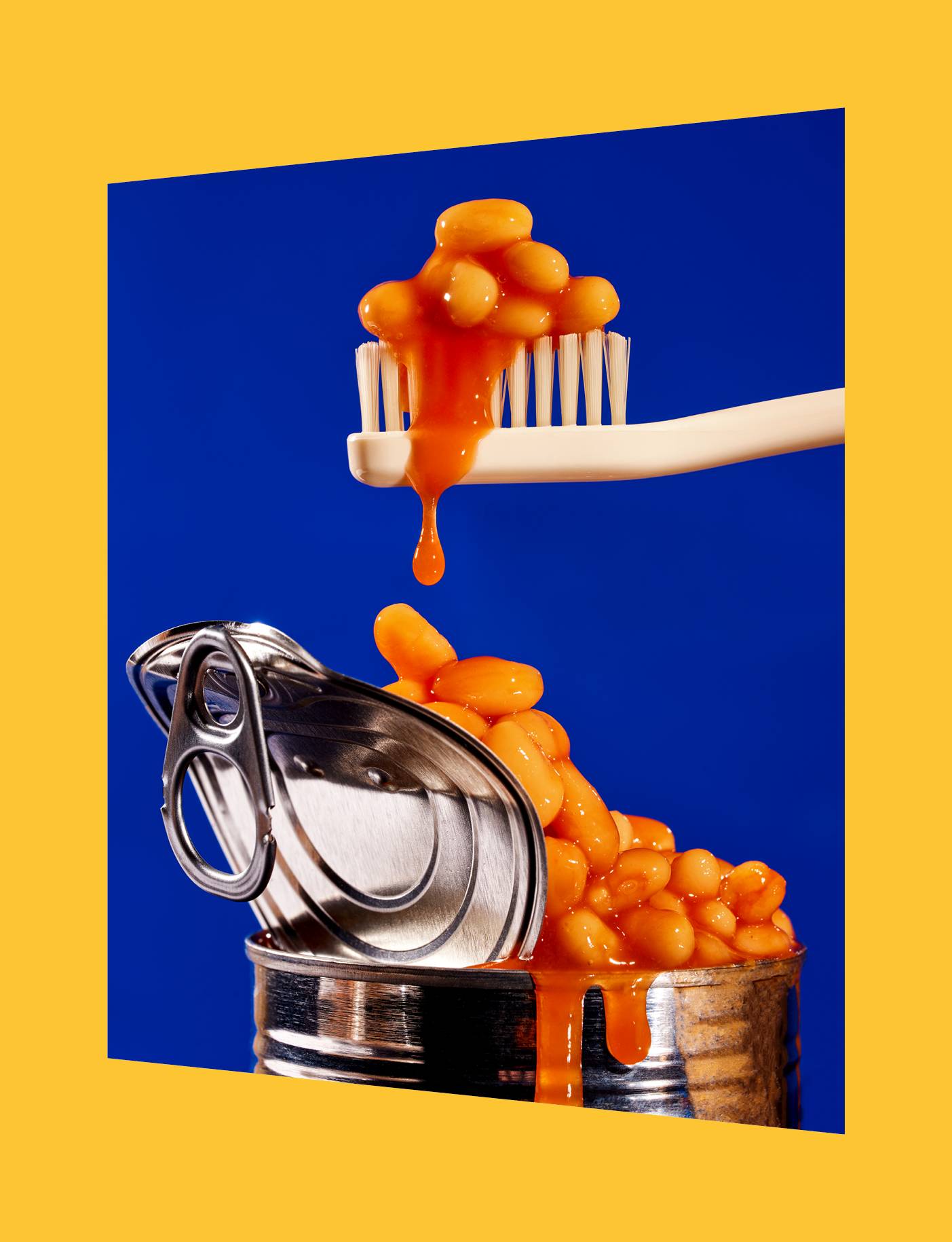 SEN Banner Website 06