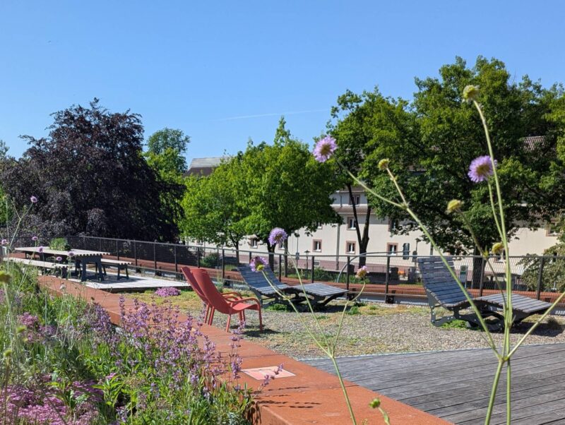 Sensoria Dachgarten Neue Sitzelemente erhöhen die Aufenthaltsqualität