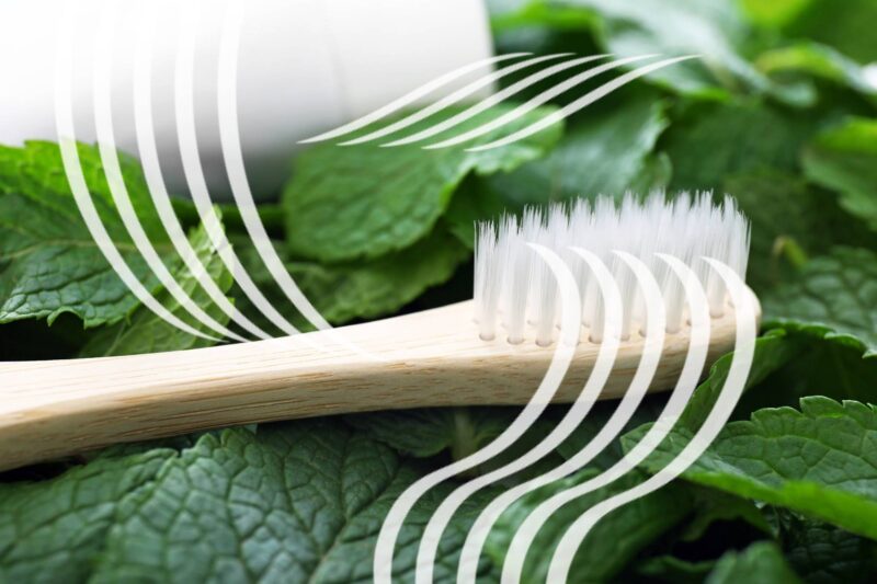 Zahnpasta, Minze, Geschmack, Referent Jan-Philipp Rüßmann